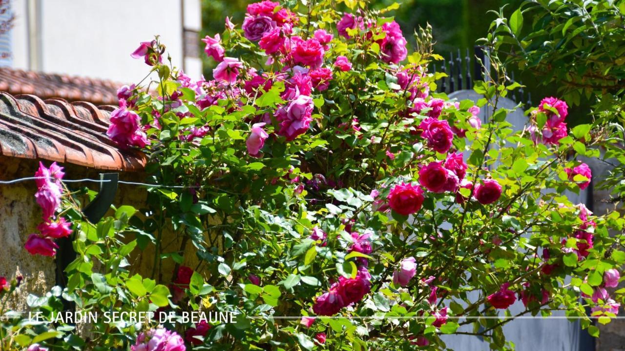 Le Jardin Secret De Beaune Бон Екстер'єр фото